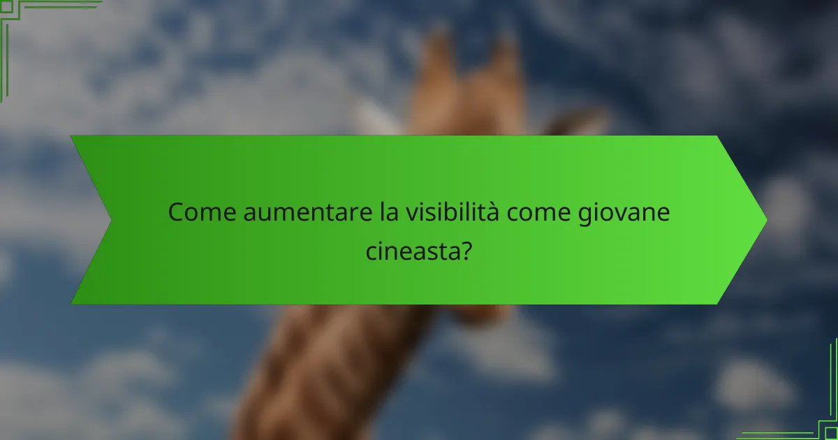 Come aumentare la visibilità come giovane cineasta?