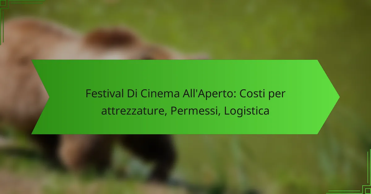 Festival Di Cinema All’Aperto: Costi per attrezzature, Permessi, Logistica