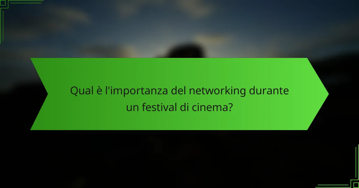 Qual è l'importanza del networking durante un festival di cinema?