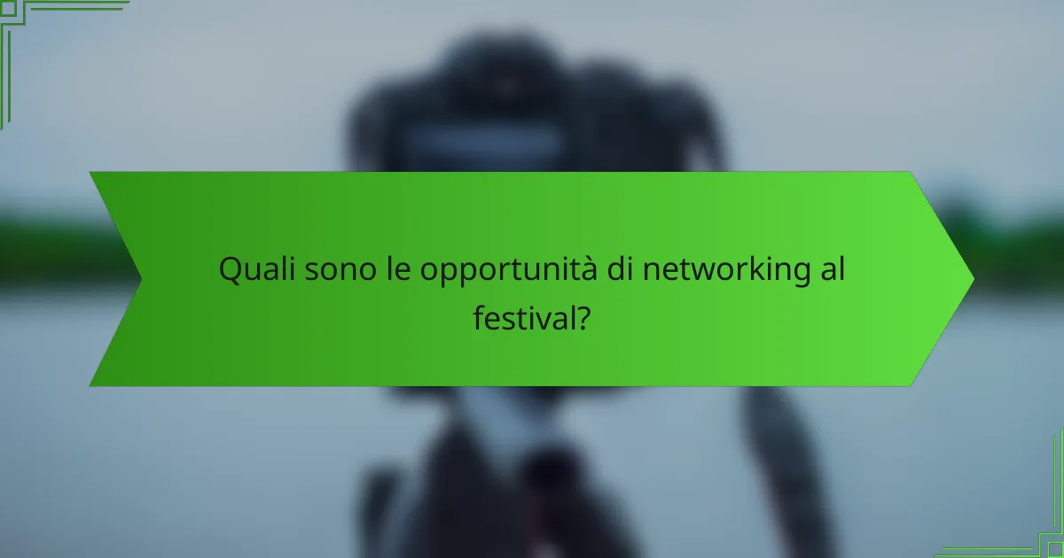 Quali sono le opportunità di networking al festival?